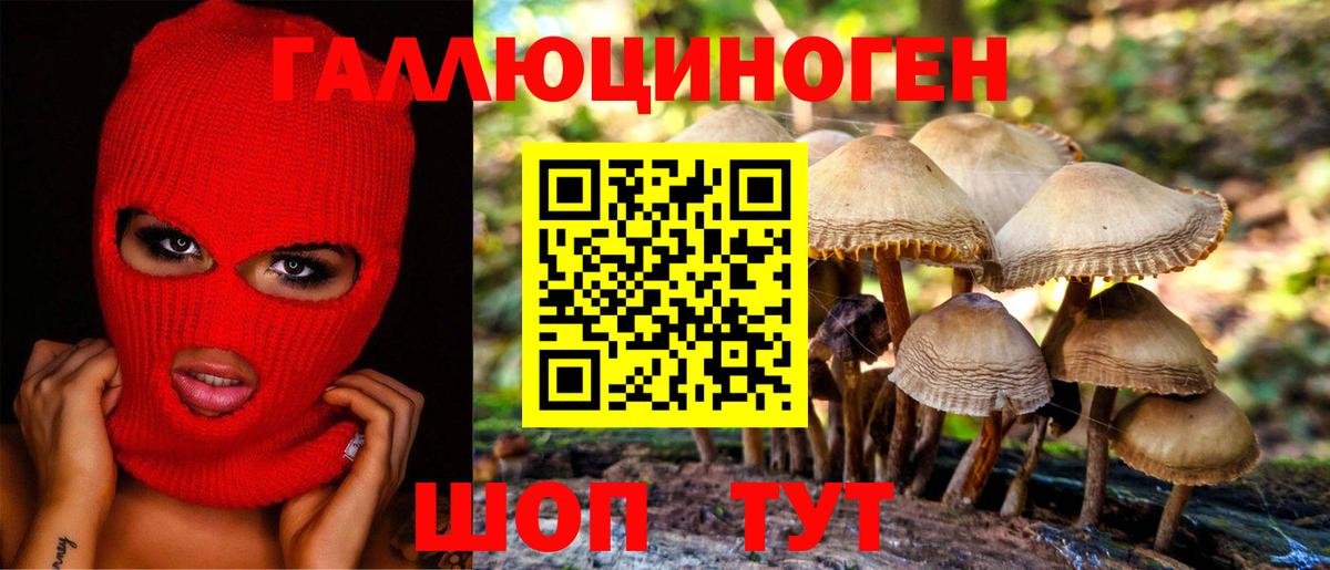 Лысьва  Псилоцибиновые грибы прущие грибы  Вход с VPN 